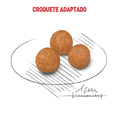 Ração Cães Royal Canin Xsmall Adultos 2,5kg