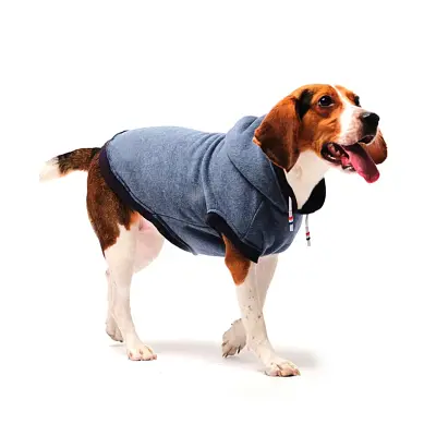 Roupa Cães Tutelo Moletom Comfy Azul GG
