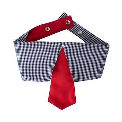 Gravata Modernpet Azul Royal para Cães - Estampas Sortidas