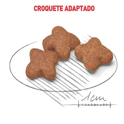 Ração Cães Royal Canin Mini Adultos 8+ 1kg