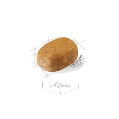 Ração Cães Royal Canin Maltes Puppy 1kg