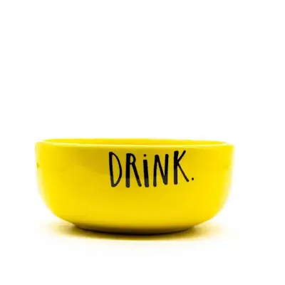 Bebedouro Cerâmica Pet Injet Drink Amarelo Médio