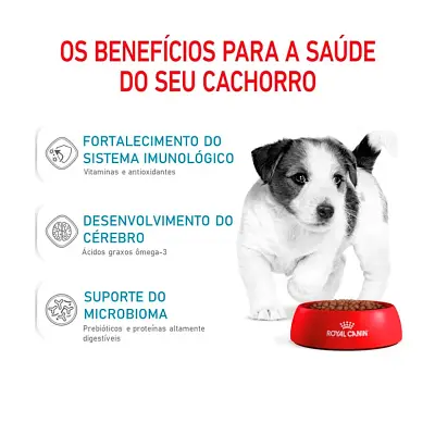 Ração Cães Royal Canin Mini Jr. 1kg