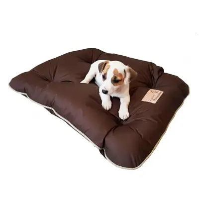 Almofadog Marrom Pickorruchos Tamanho G