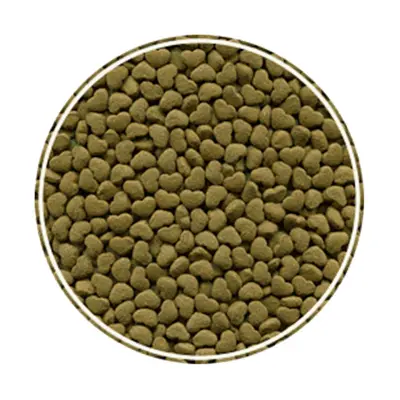 Ração Para Porquinho da India Alcon Club 500g