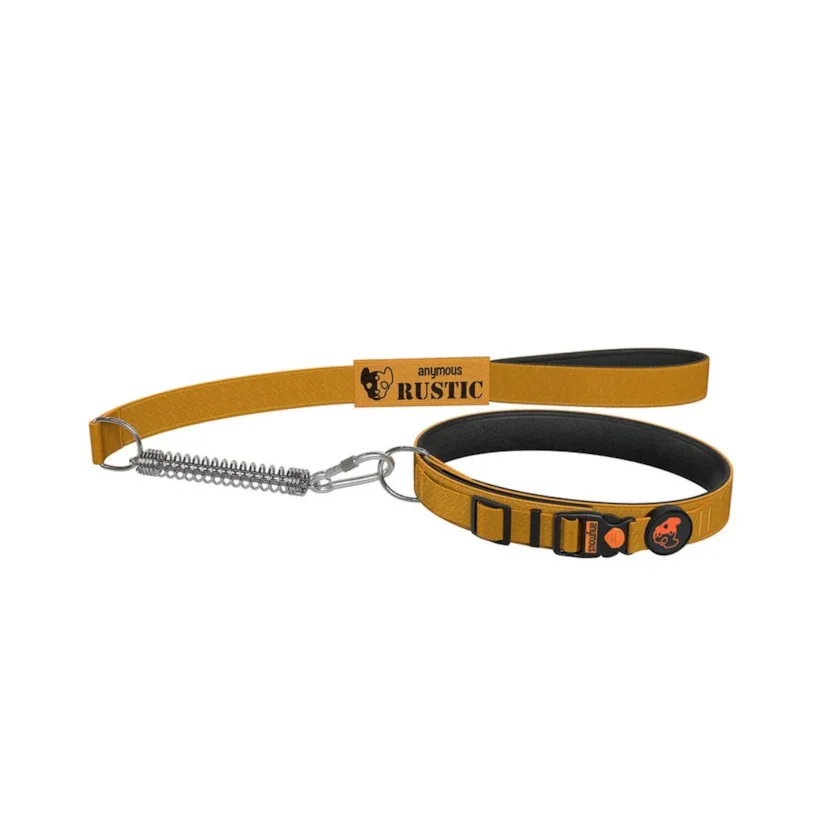 Coleira Com Guia Para Cães Anymous Rustic Kaqui G