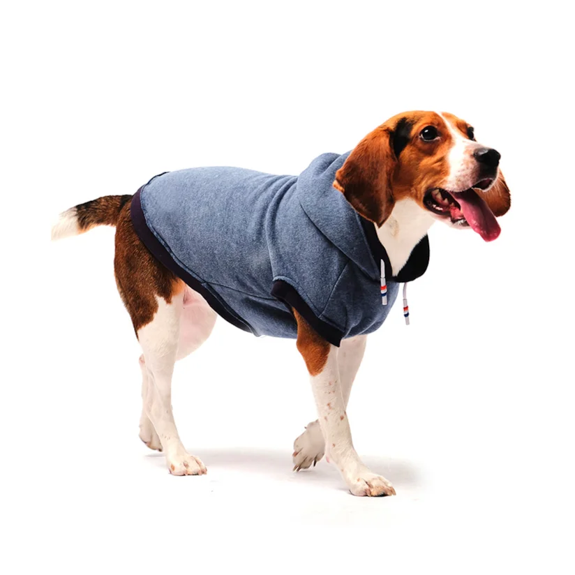 Roupa Cães Tutelo Moletom Comfy Azul GG