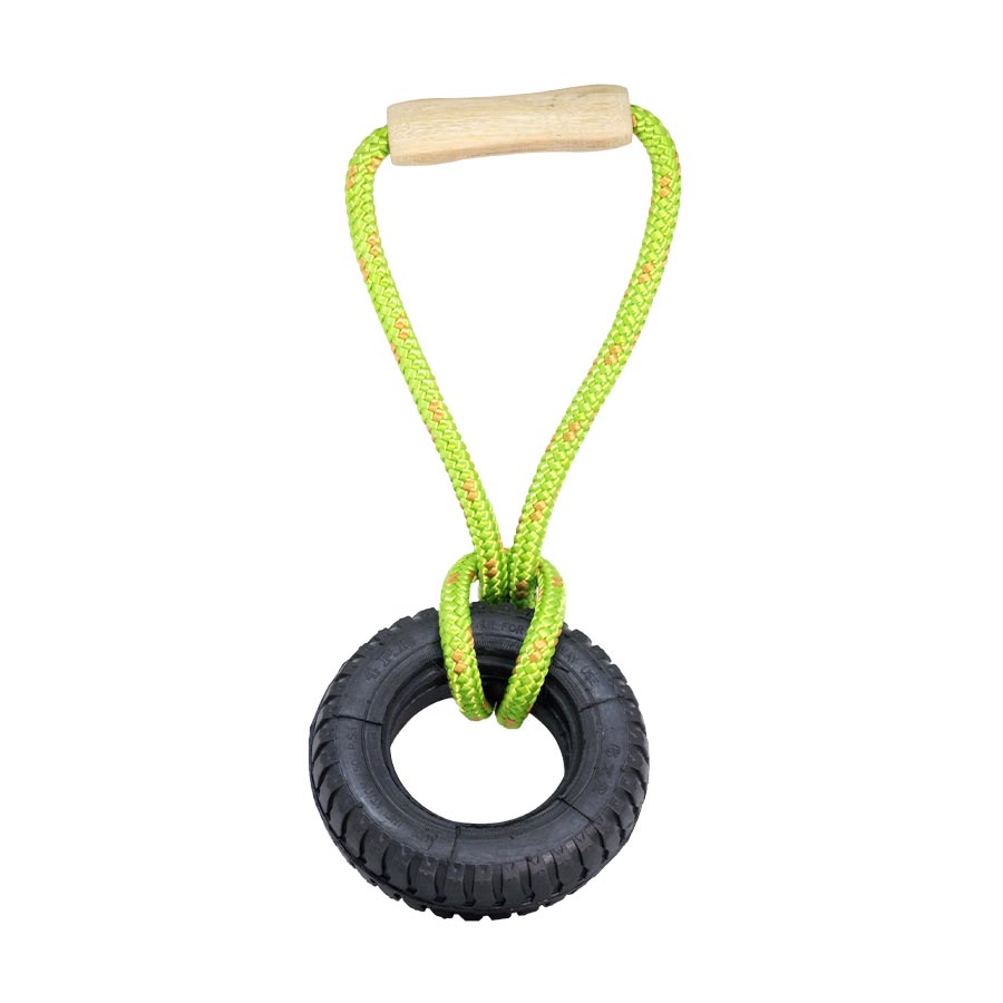 Brinquedo LCM Push Mini Maciço para Cães