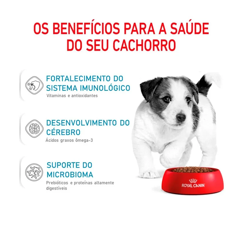 Ração Cães Royal Canin Mini Jr. 1kg