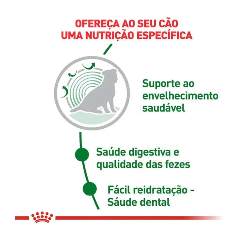 Ração Cães Royal Canin Indoor Senior 7,5kg