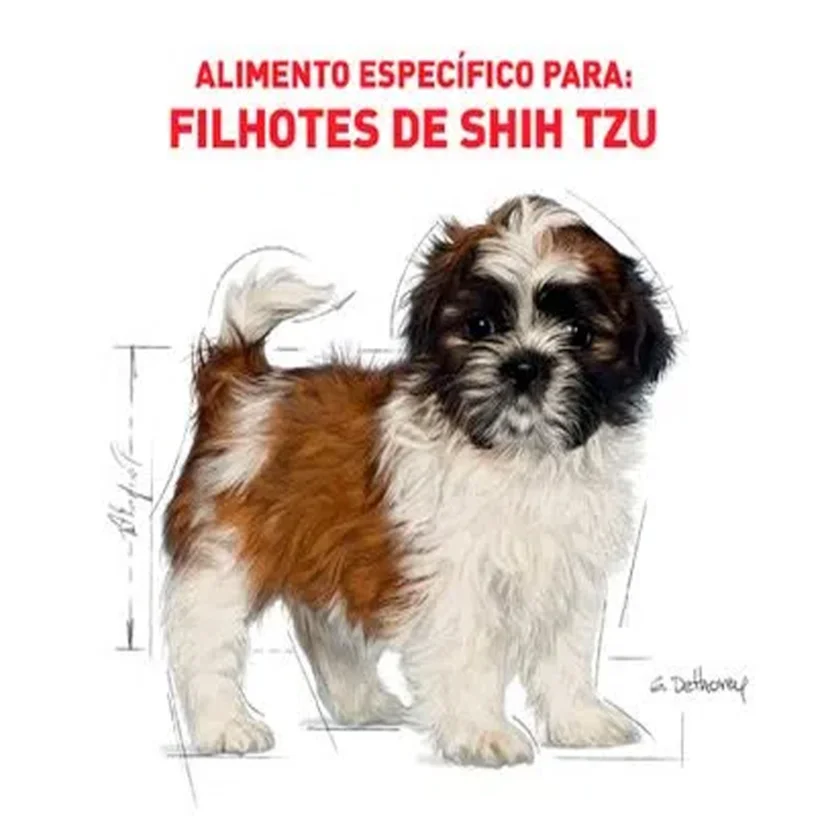 Ração Cães Royal Canin Shih Tzu Puppy 2,5kg