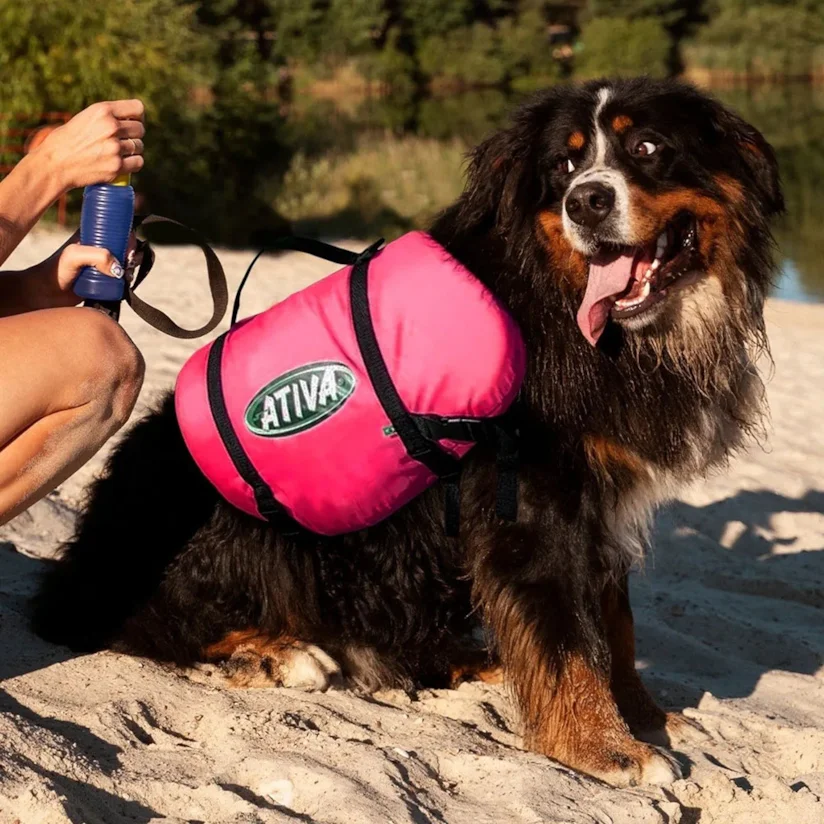 Colete Salva Vidas Pet Vest Ativa Rosa P